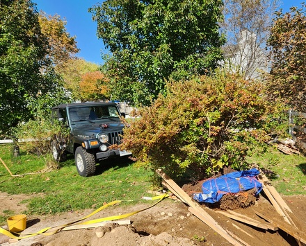 Jeep wedged into spot to pull a big bush out